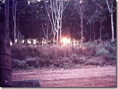 Minolta DSC