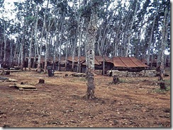 Minolta DSC