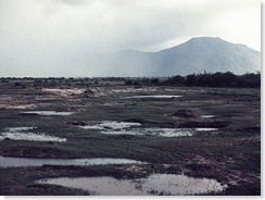 Minolta DSC