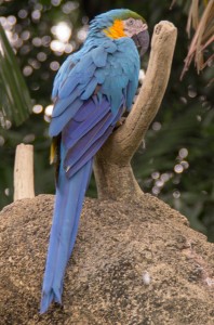IMGP0747